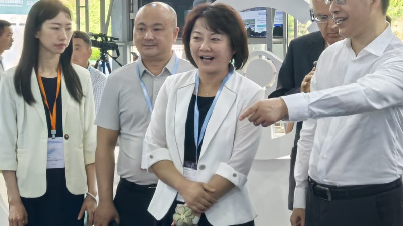 汽车电瓶搭电夹子：揭秘选购背后的技术逻辑**